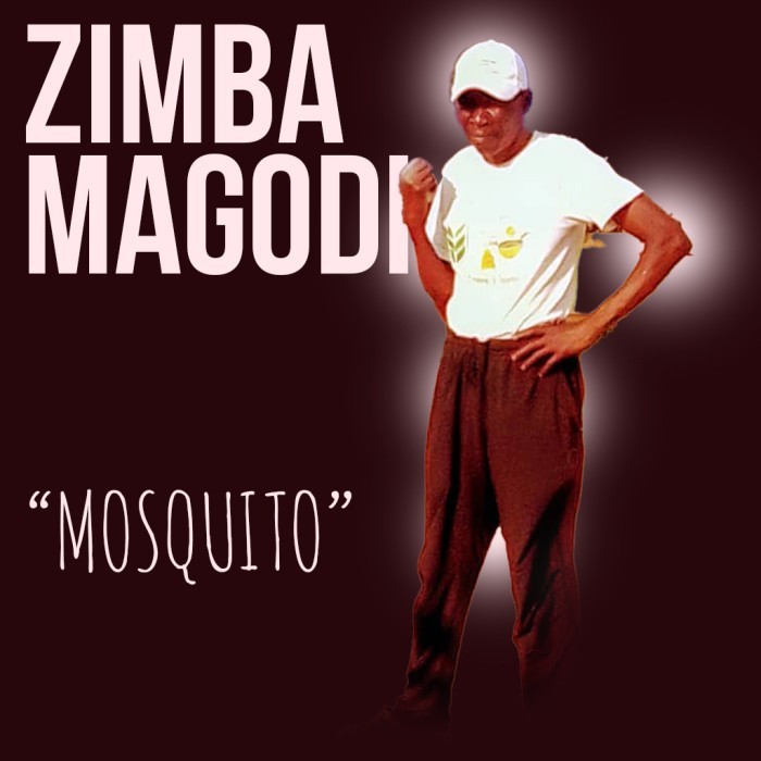 Song Cover